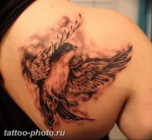 рисунка тату воробей 03.12.2018 №025 - photo tattoo sparrow - tattoo-photo.ru